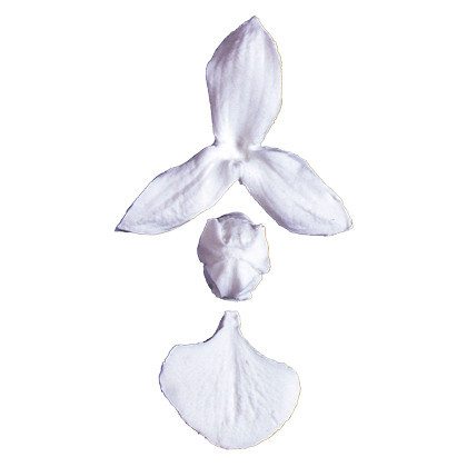 SK Great Impressions Blüten Veiner Orchidee Schmetterling - Phalaenopsis 8cm breit